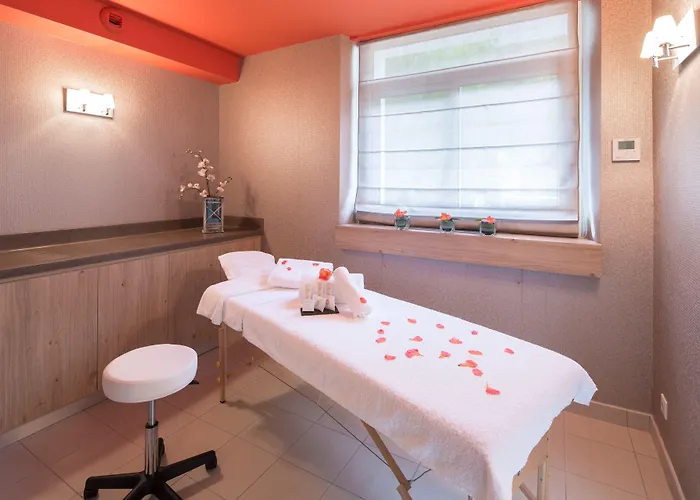 Hotel Le Rive Droite&spa Lourdes