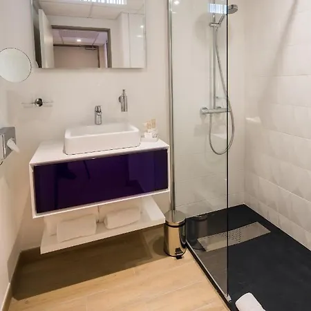 Best Western Plus Le Rive Droite & Spa 4* Лурд