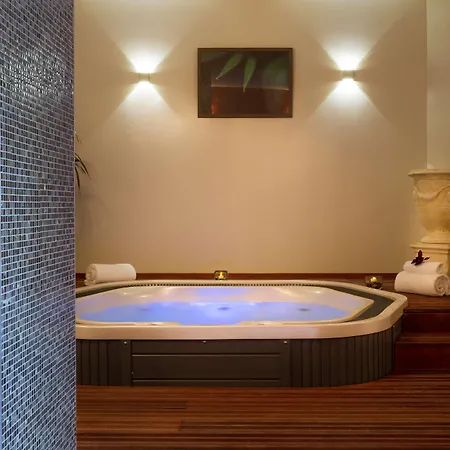 Best Western Plus Le Rive Droite & Spa Лурд